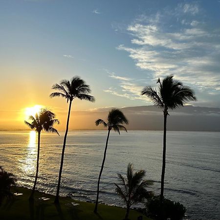 This Place Is Different!! Award Winning! Oceanfront, View View! ワイルク エクステリア 写真